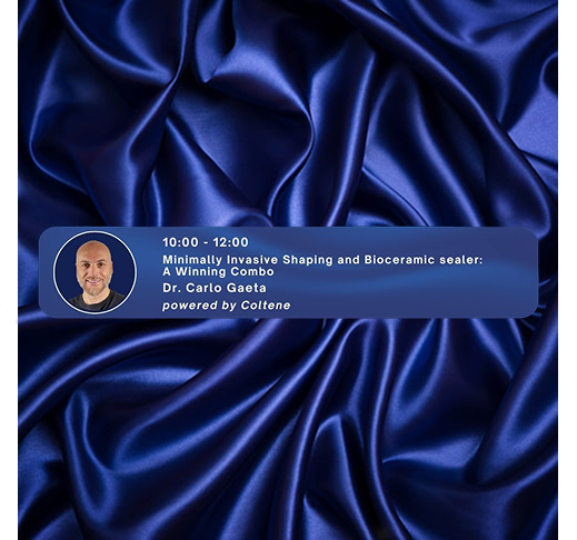 Minimally Invasive Shoping and Bioceramic sealer: A winning Combo